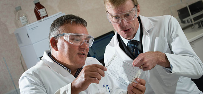 Scientists looking at sample